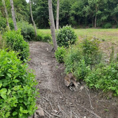 trockengefallener Mahlbach bei Mellrichstadt